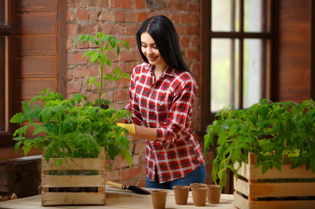 Fazendo uma horta na varanda do apartamento